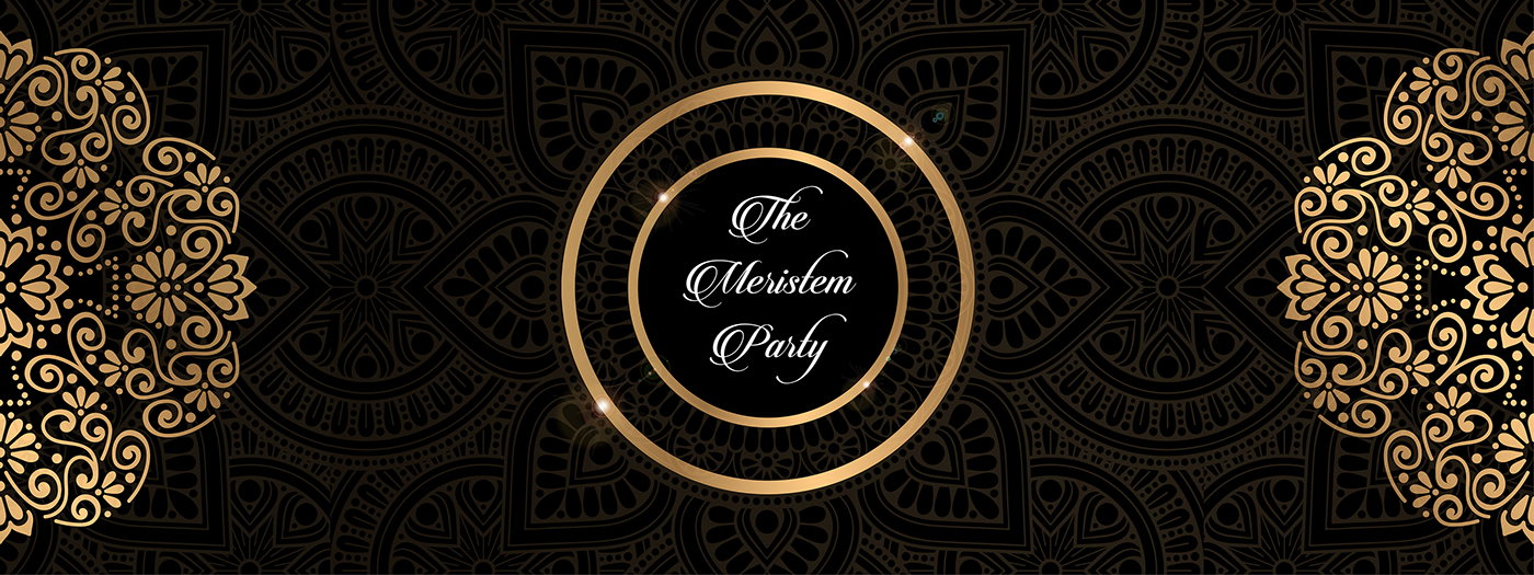 meristem party brand design backdrop teaser logo Mandala gold green