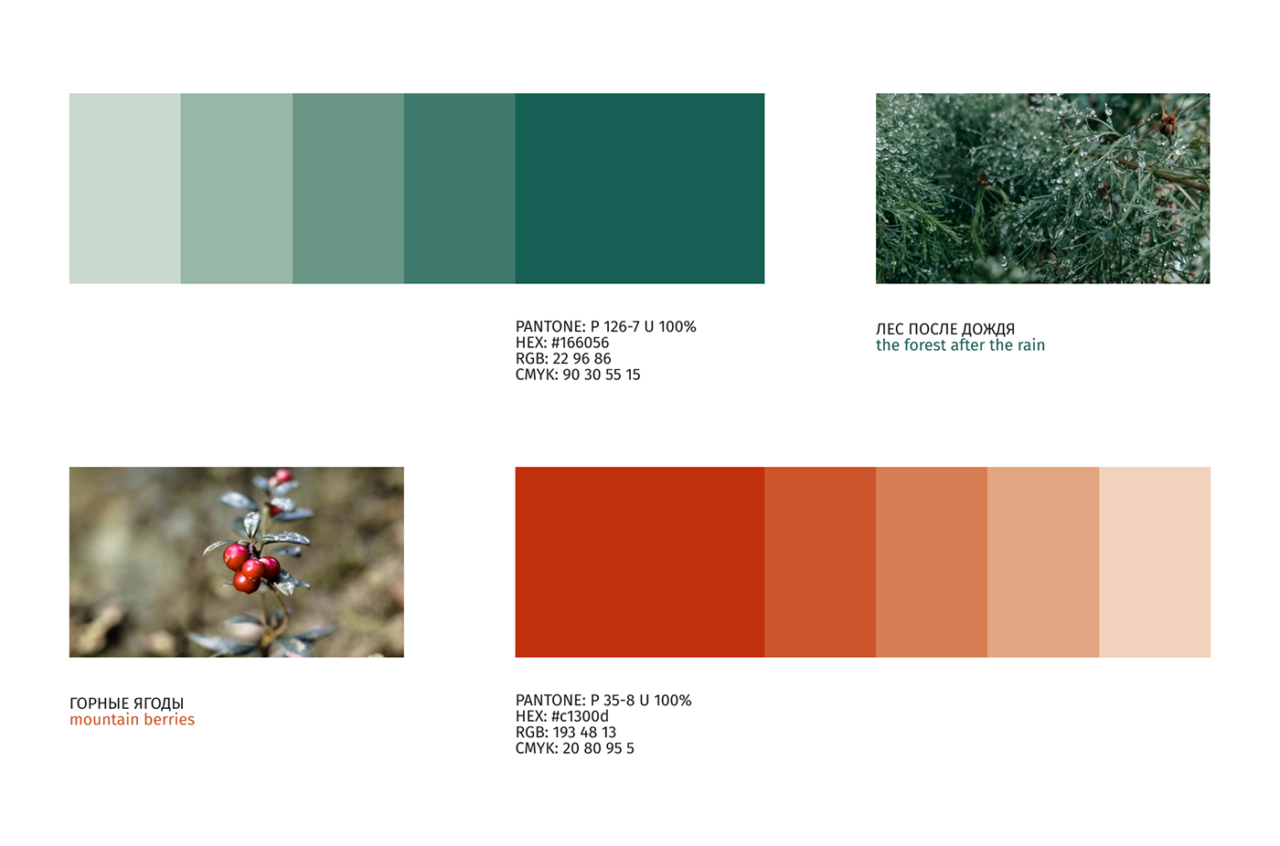 The brand's signature color palette. Pantone shades. Selection of the color scheme. Inspired by natu
