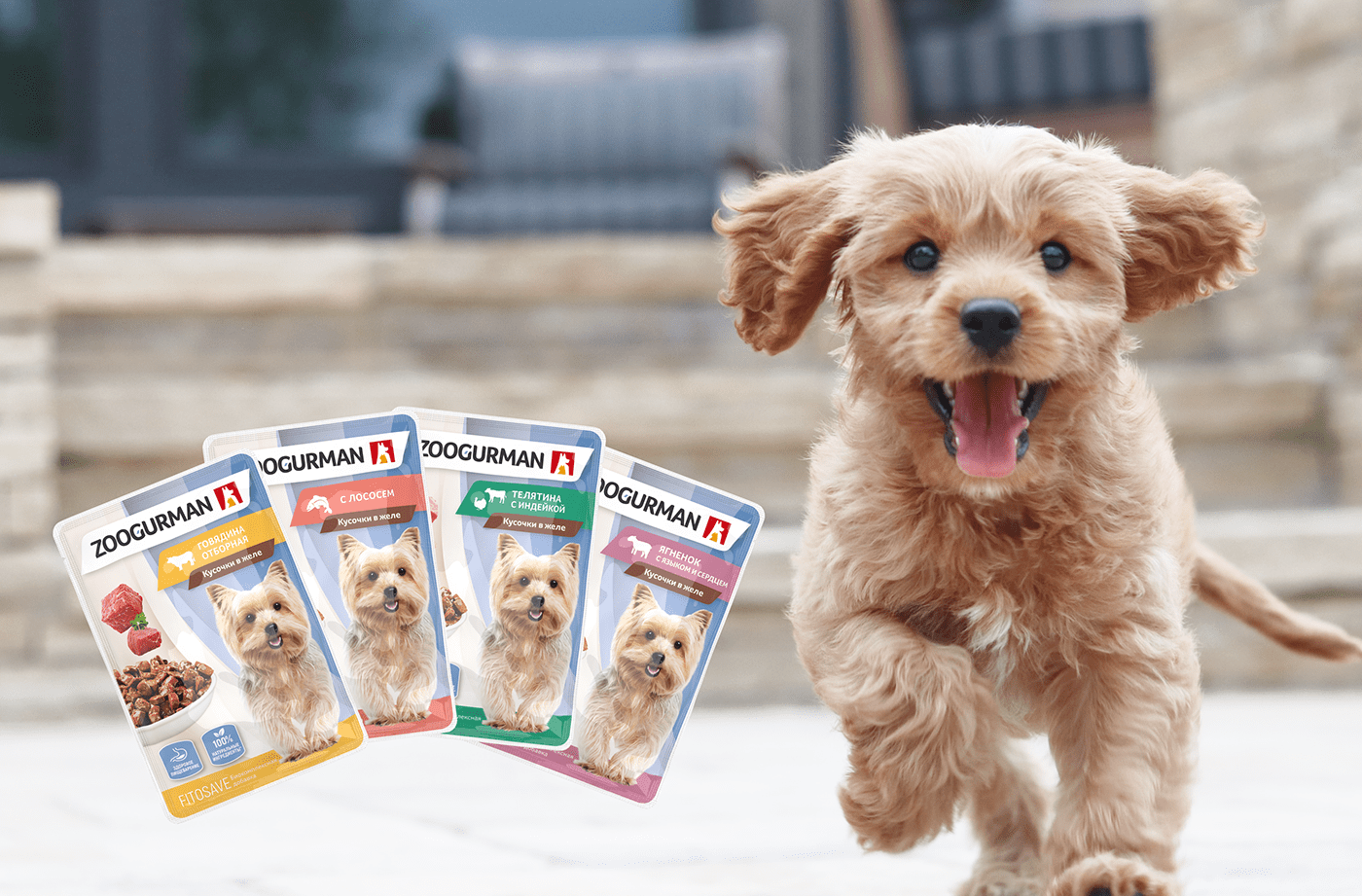 animal Brand Design brand identity dog food Packaging packaging design Pet puppy adobe illustrator