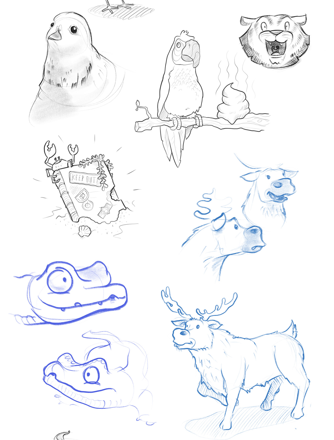 doodles animals sketches sketch Procreate