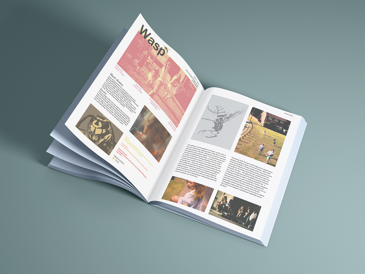 editorial Film magazine InDesign Layout magazine Magazine design publication publication design