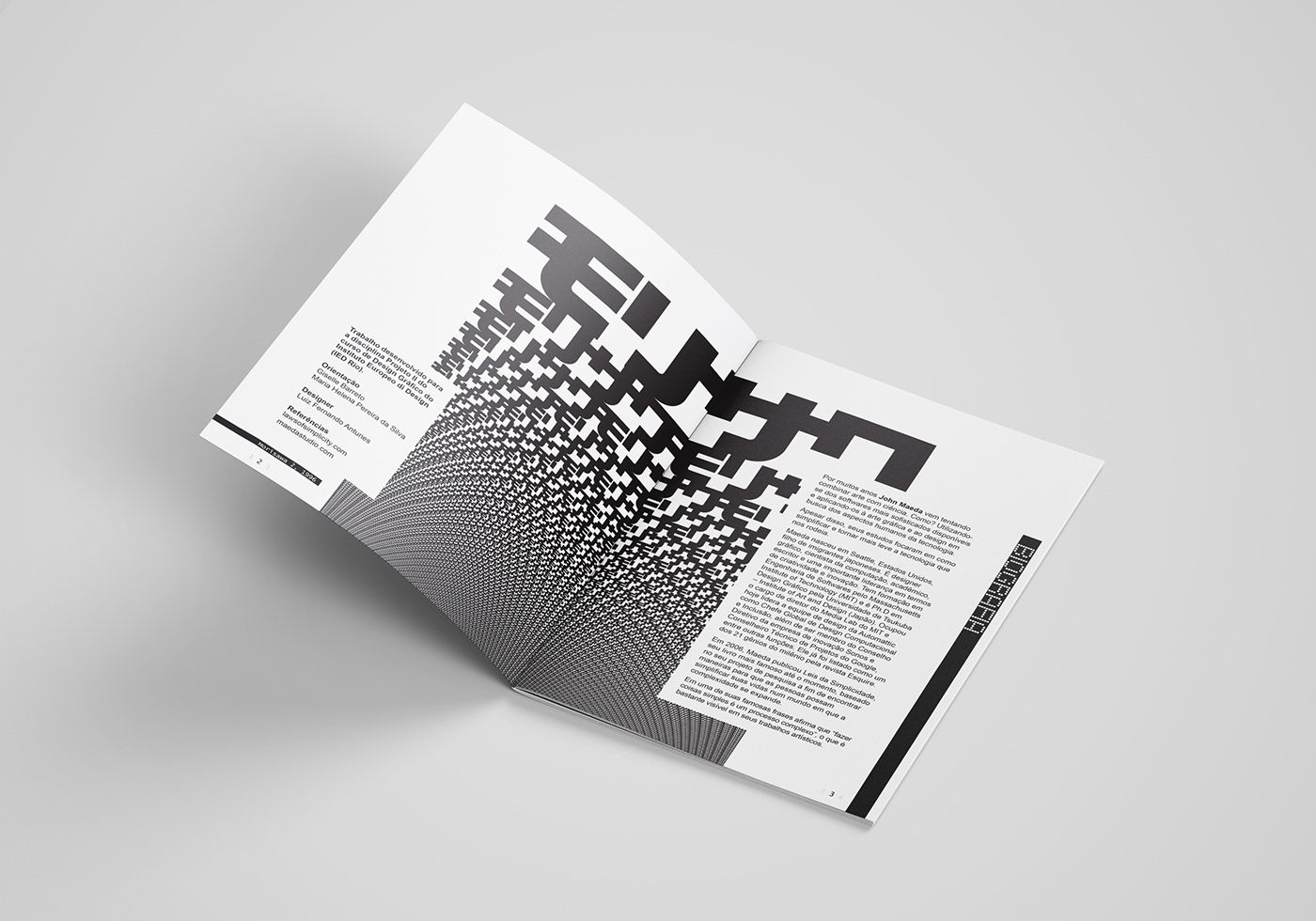 catalog graphic design  john maeda editorial design  simplicity InDesign