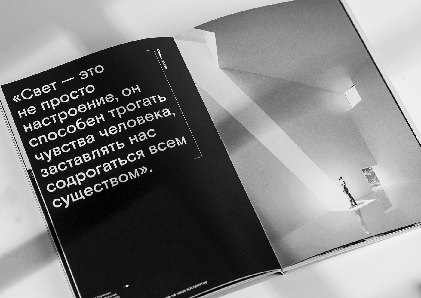 design typography   book design books Book Cover Design