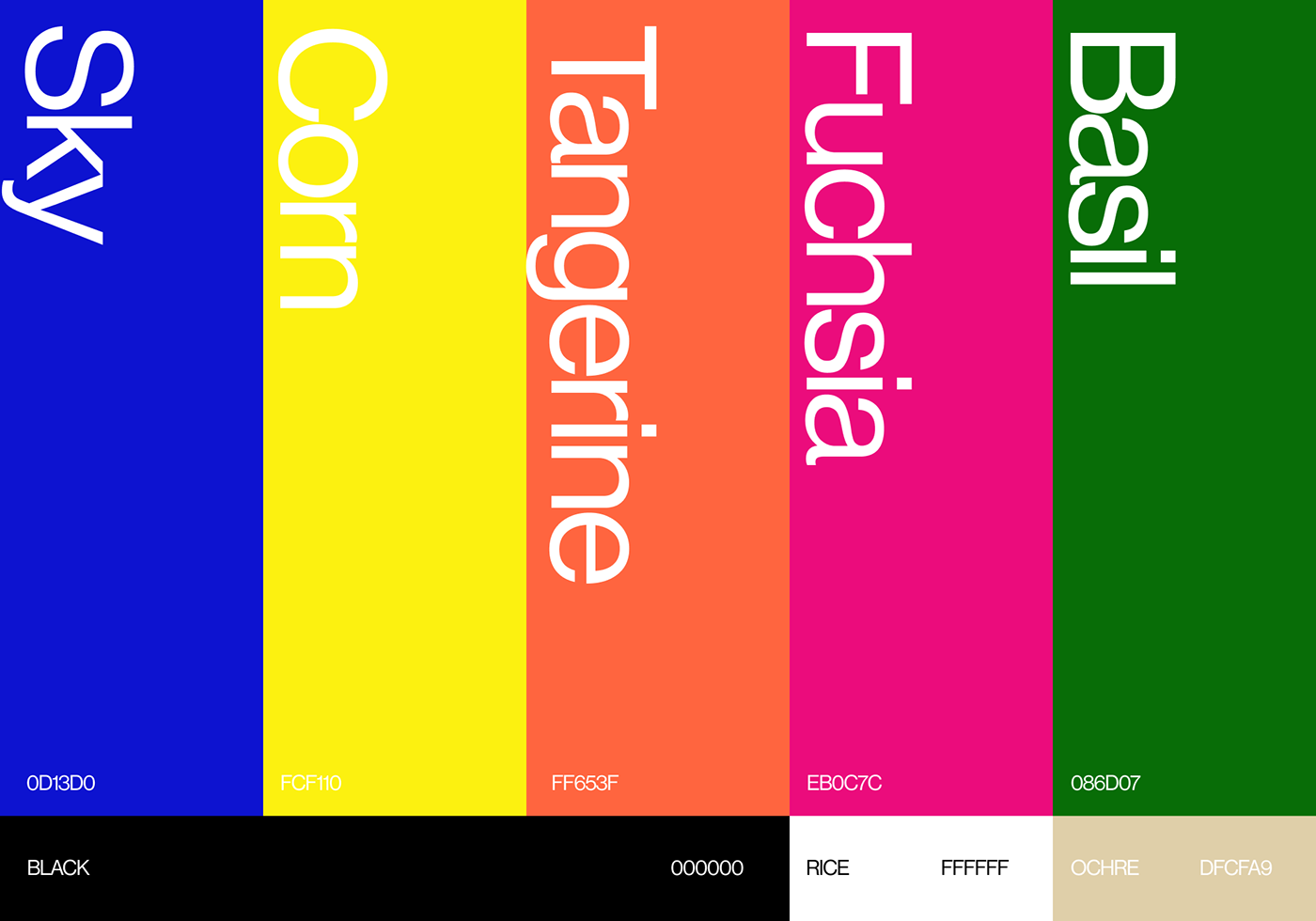 design editorial book print typography  