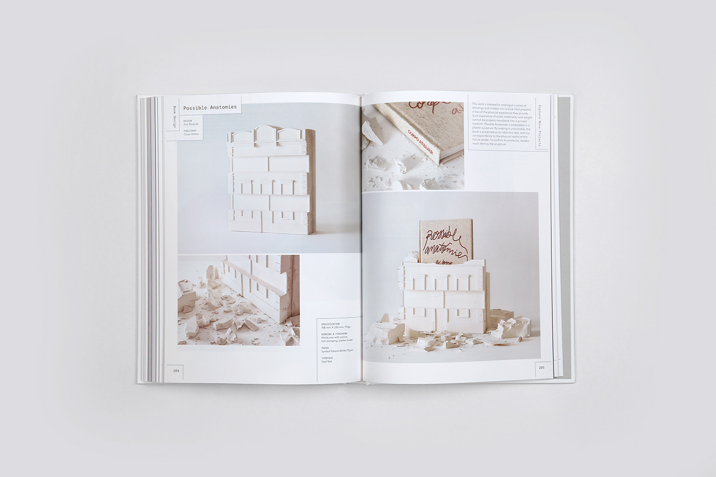 book design editorial editorial design  Layout print publishing  