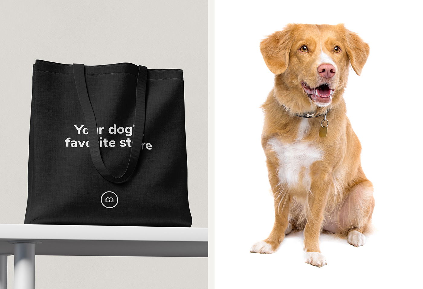 Brand Design brand identity branding  Logo Design logo designer Logotype Packaging pet store Pet store branding dog brand