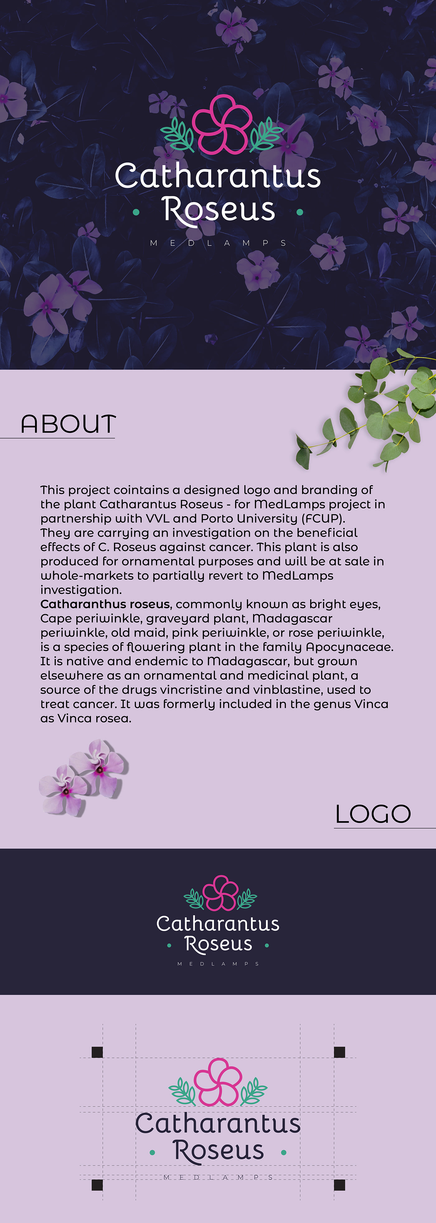 brand branding  design flower identity ILLUSTRATION  logo Mockup Nature Plant