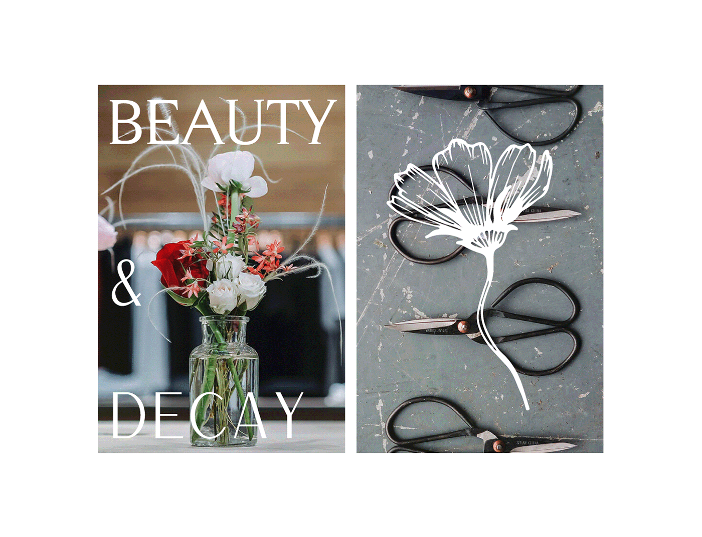 Beautiful boutique branding  floral Flowers logo uxui vintage web development  Website