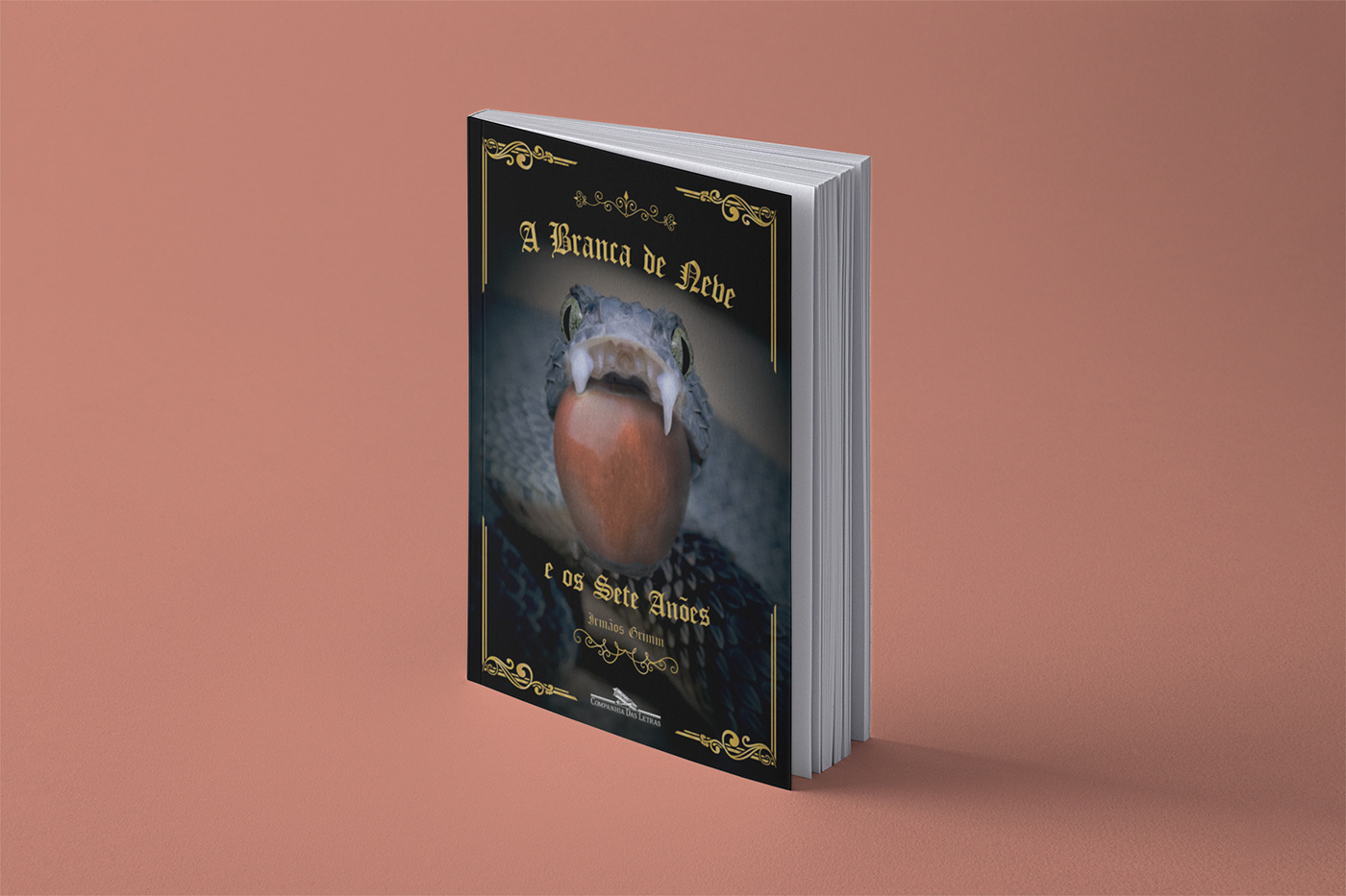 book color cover editorial history ilustracion Layout Mockup options