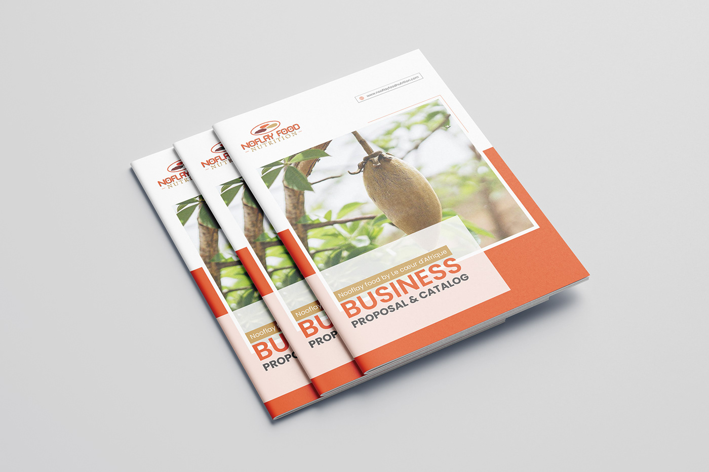 brochure design , company profile, Layout design, annual report, Brochure Template, Business Proposa