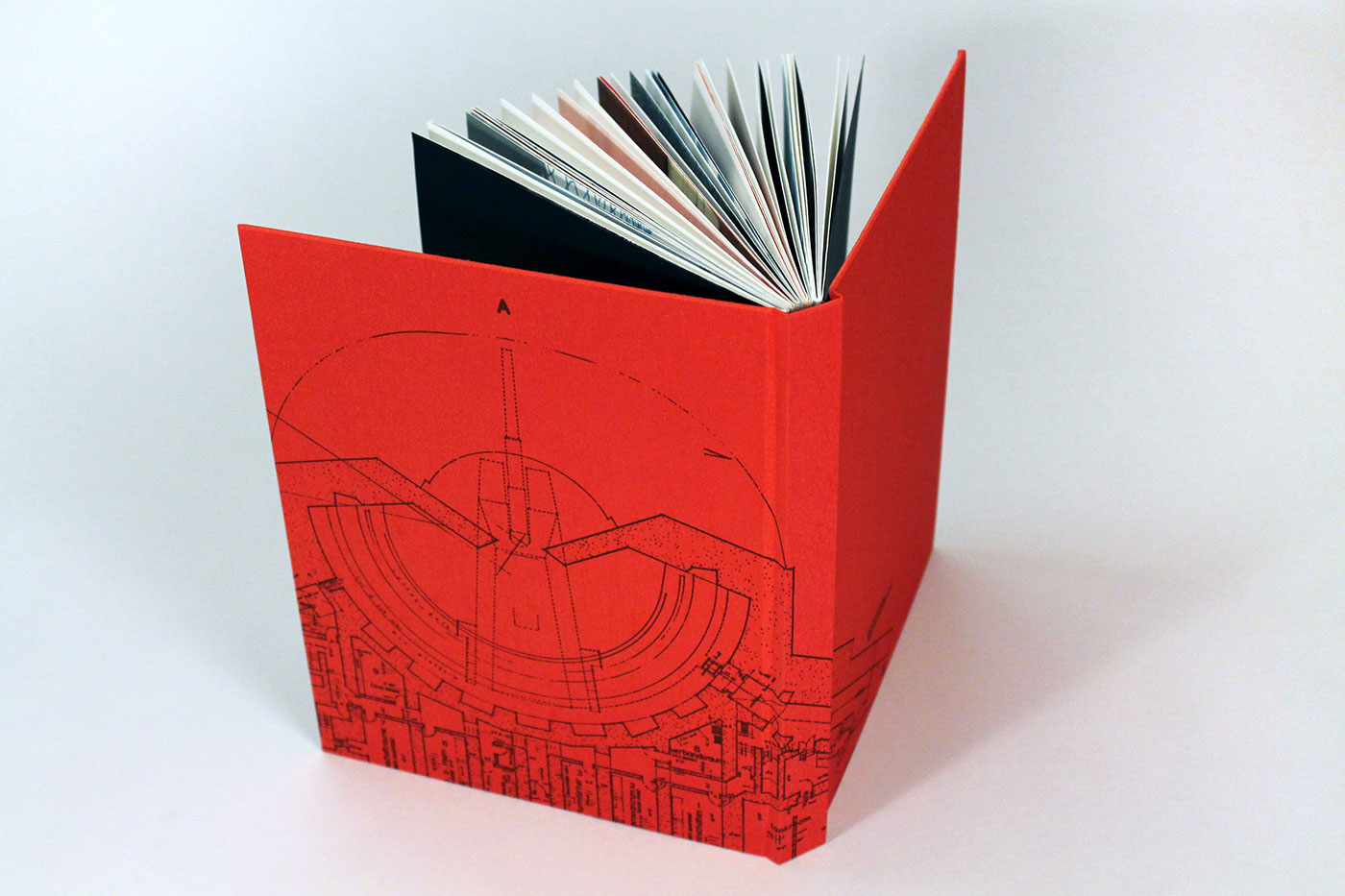 Book Arts letterpress 35mm POLAROID book design Book Binding monotype printmaking
