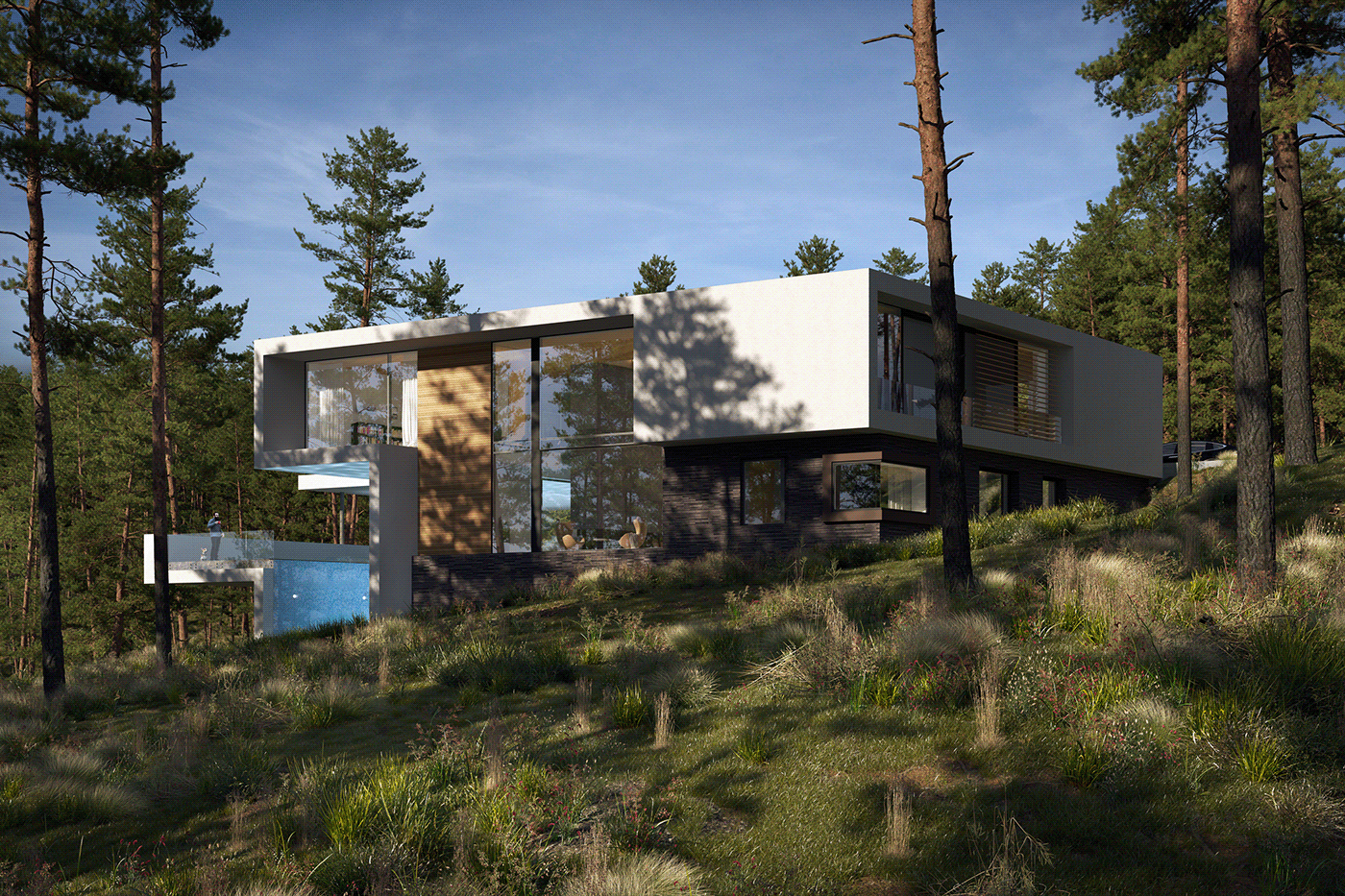 A 3D visualization of a house in the woods