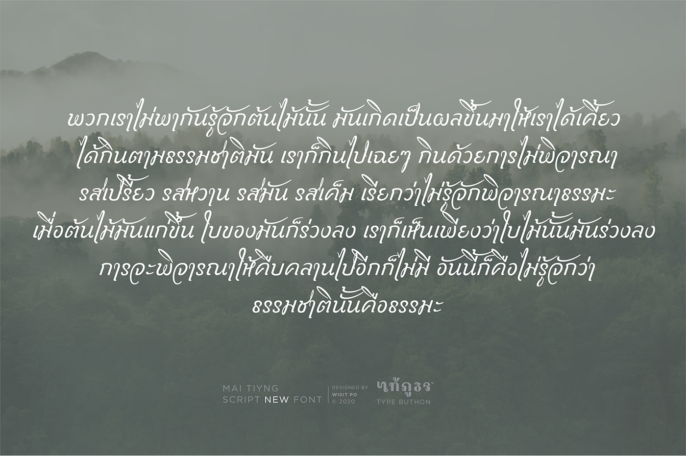 font Thai Font Script Font