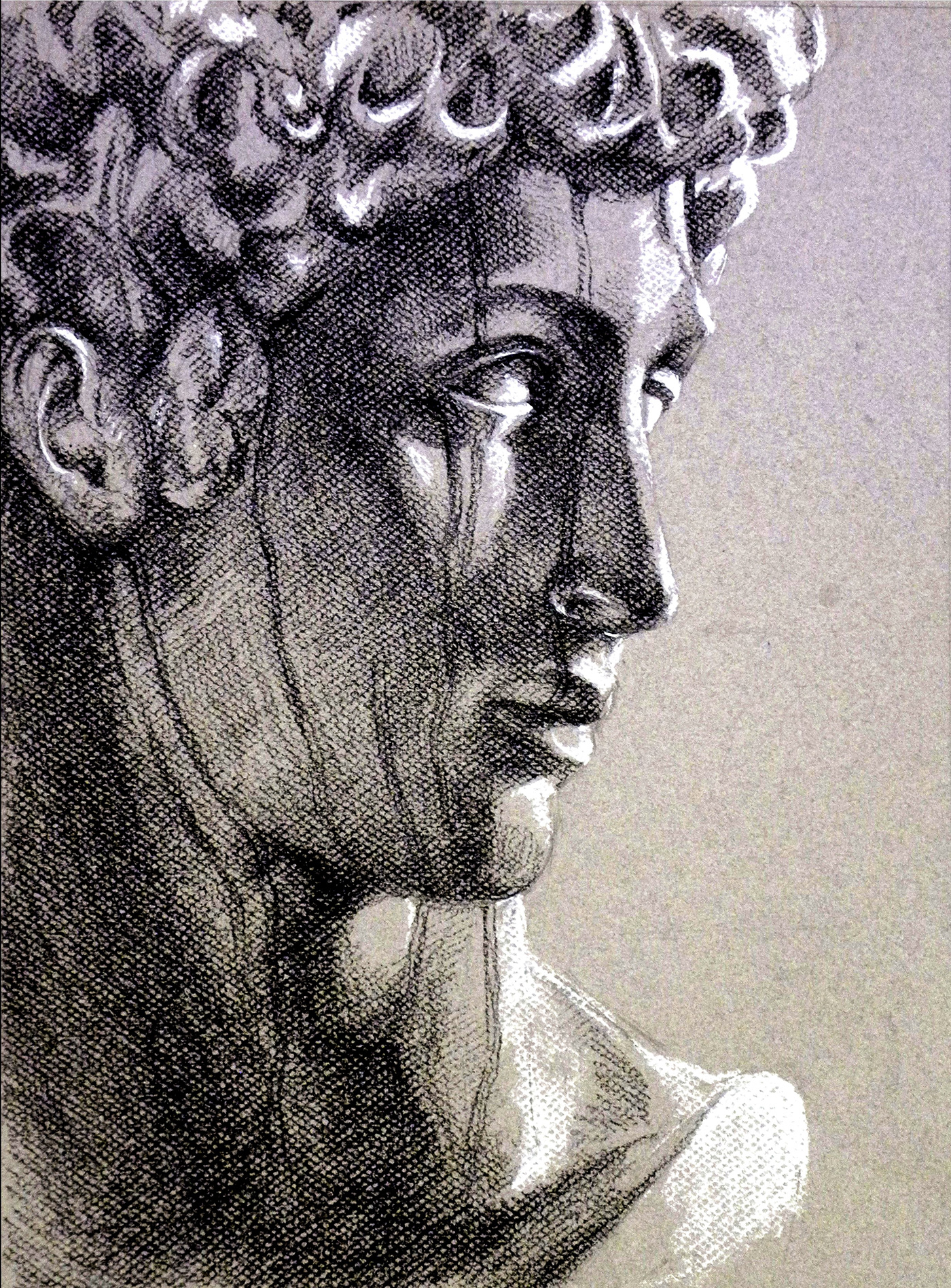 conte Drawing  traditional handdrawing