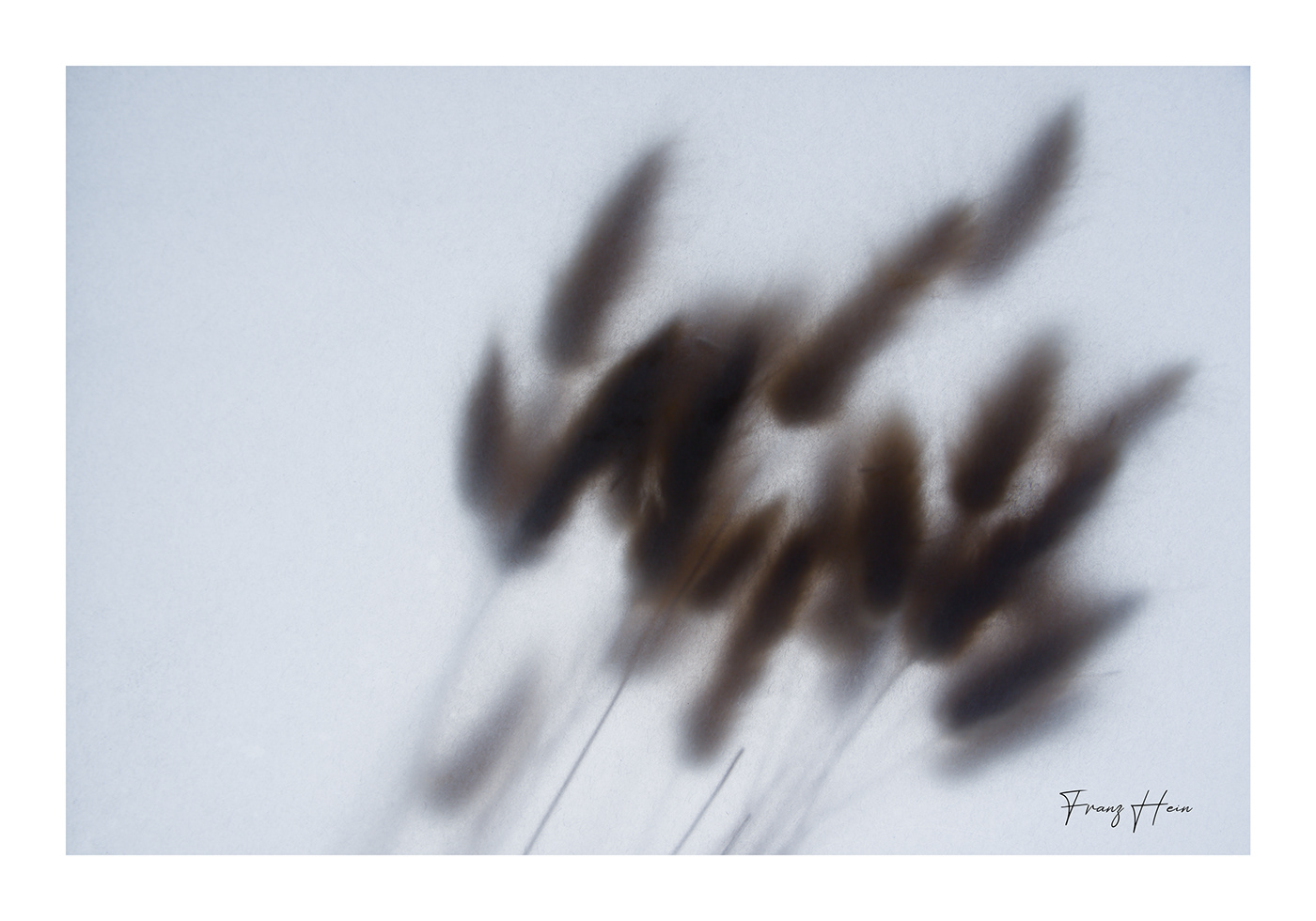 abstract Abstractphotography art fine art