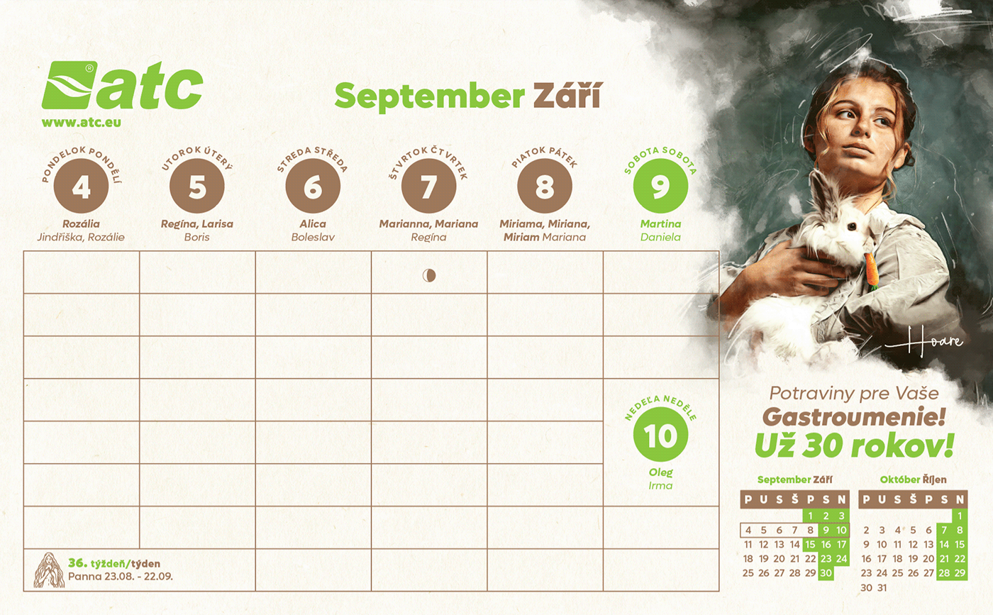 calendar calendar design