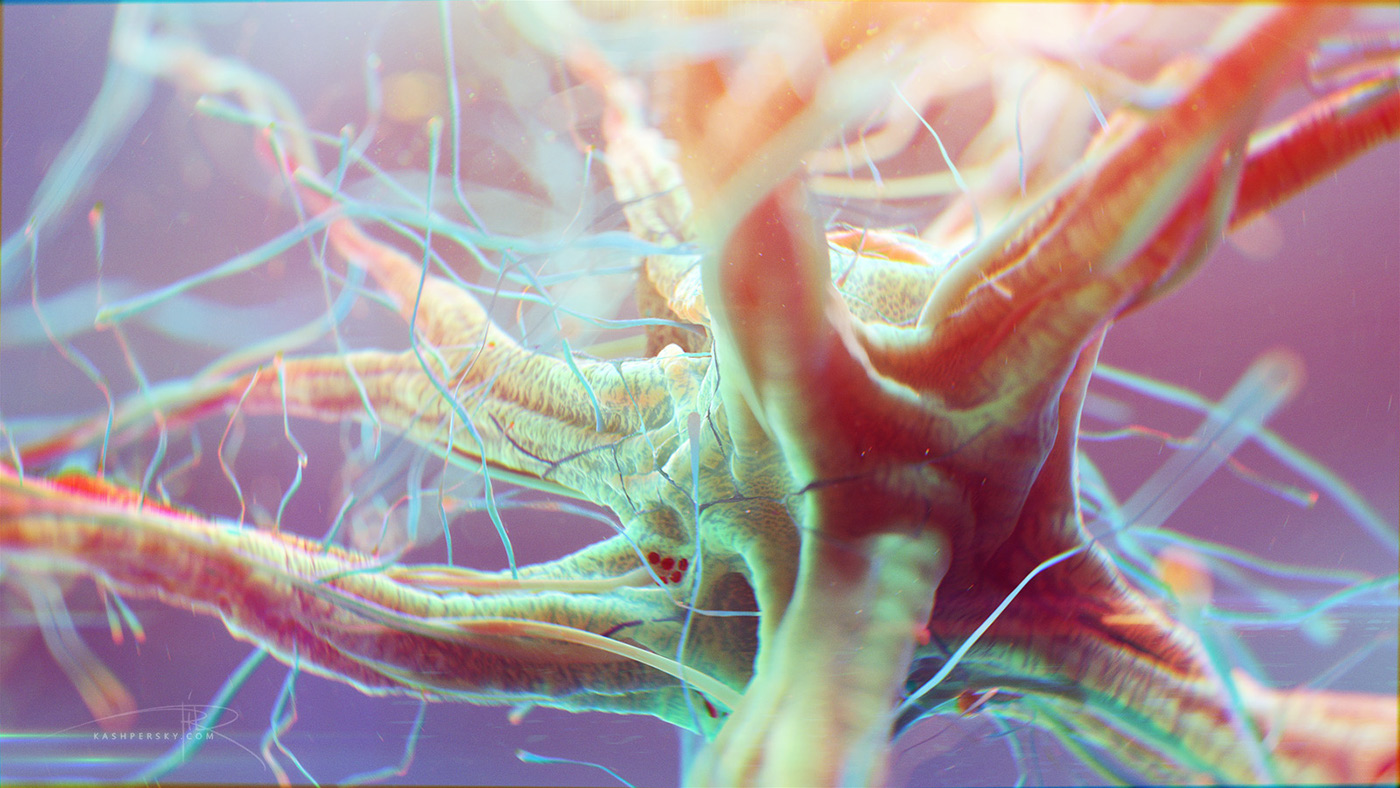 neuron Neural Pathways brain medicine biology human body SEM science microworld   organic micro anatomy Beautiful synapse