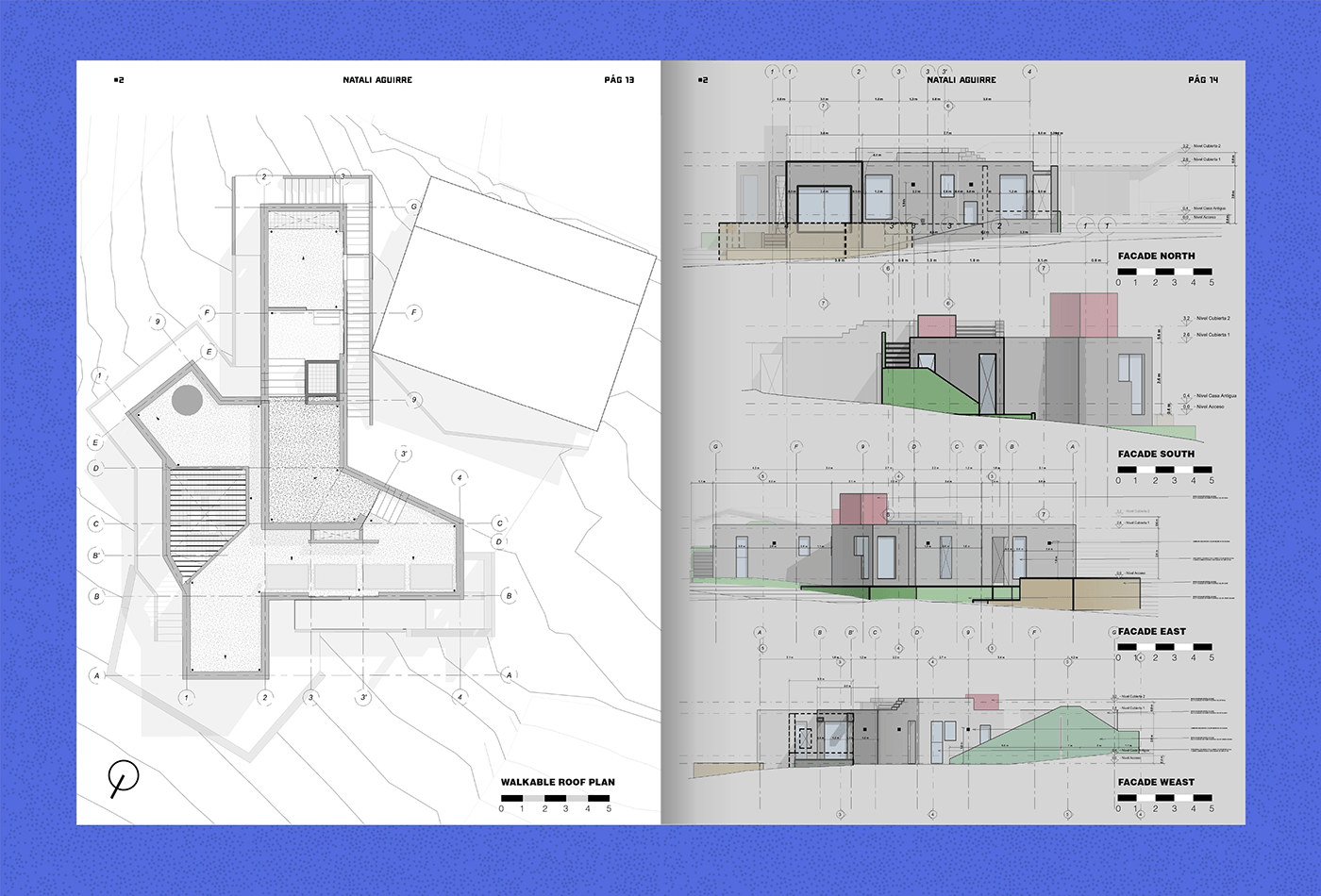 HOUSE DESIGN architecture Render interior design  visualization 3D lumion revit