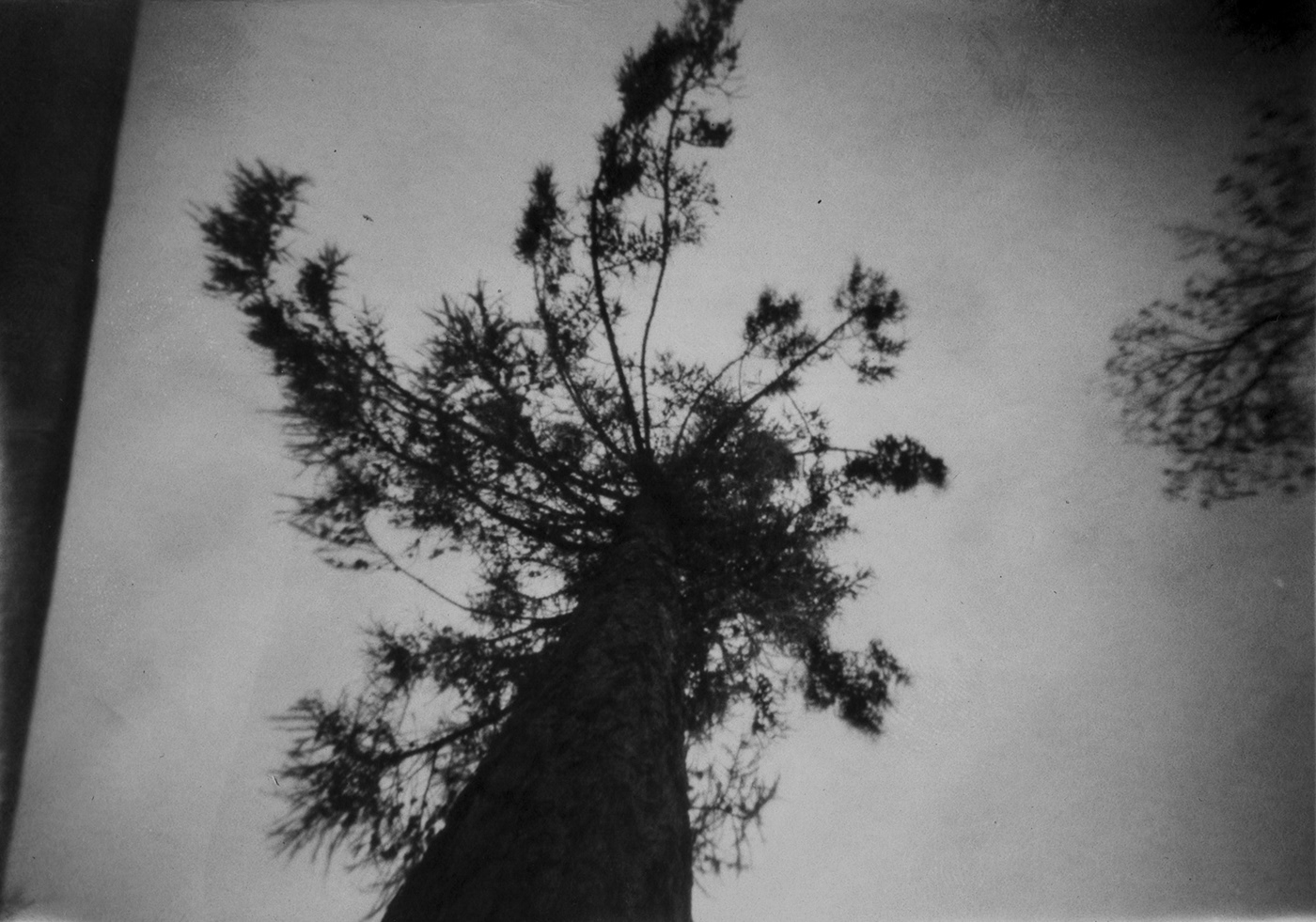 pinhole Photography  black and white monochrome alternative experimental analog photography Nature SKY analog