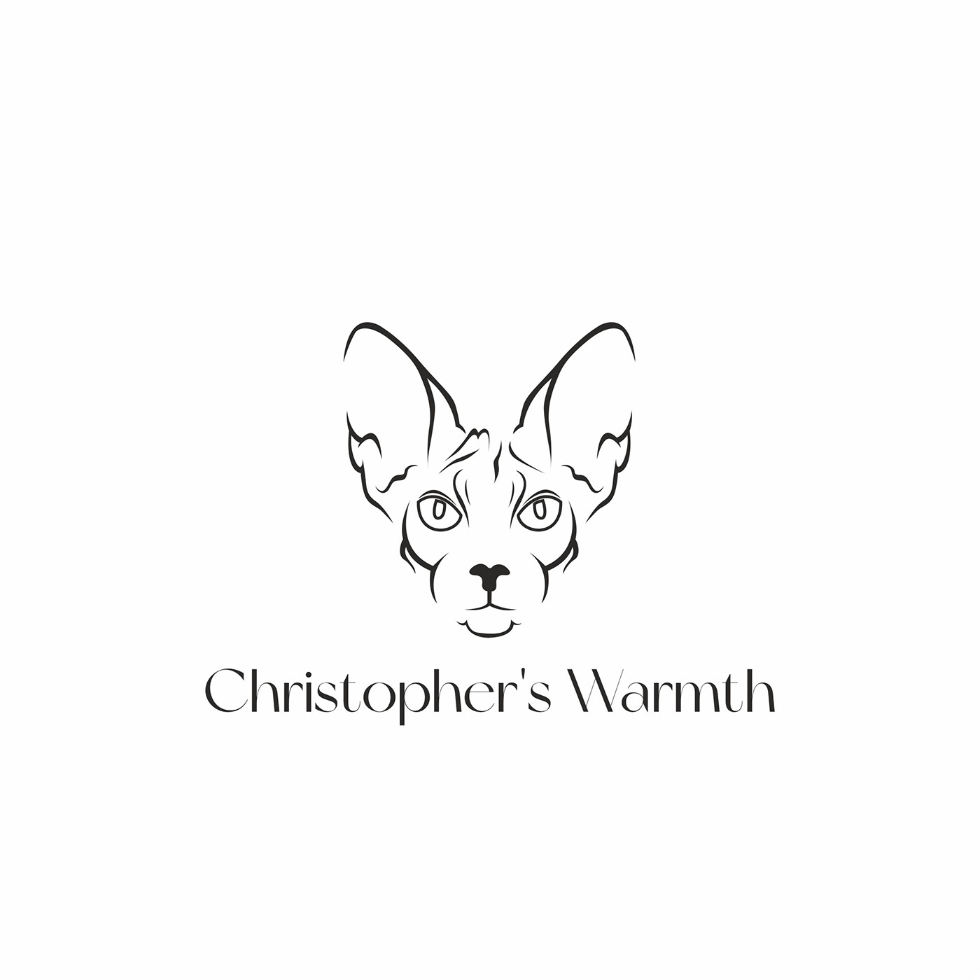 animal brand identity candles Cat concept design logo Packaging typography   visual