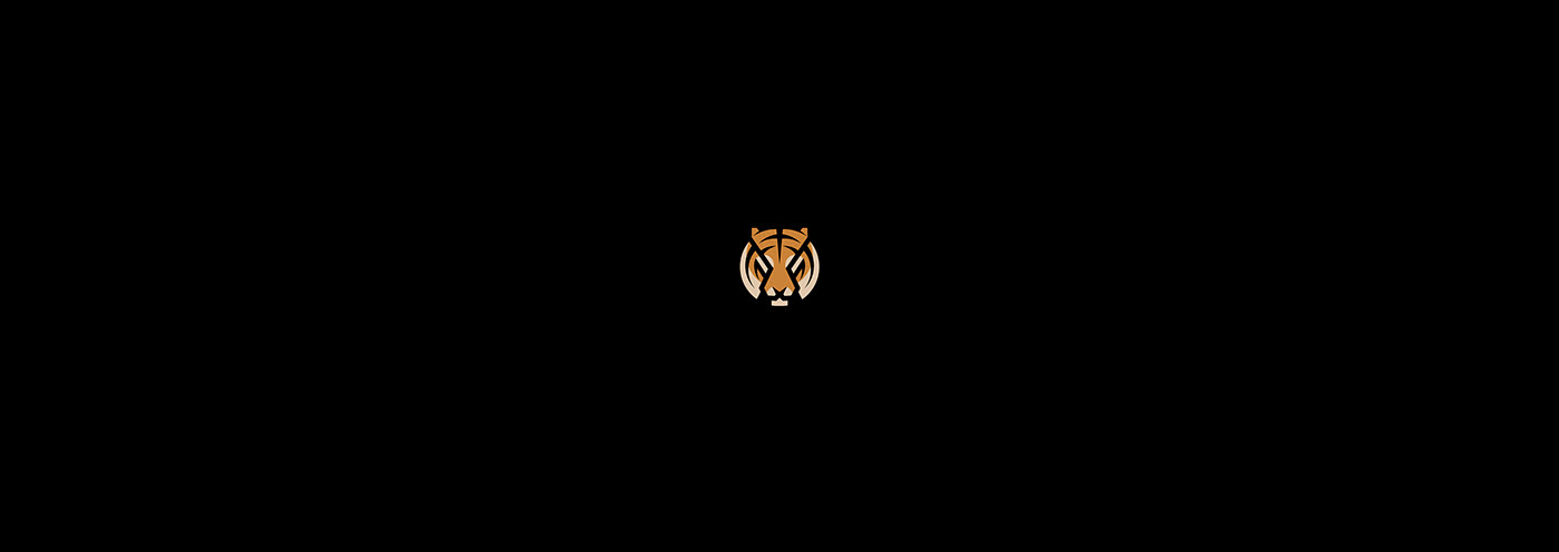 animal animation  Golden Ratio grid Icon logo minimal minimalist motion graphics  symbol