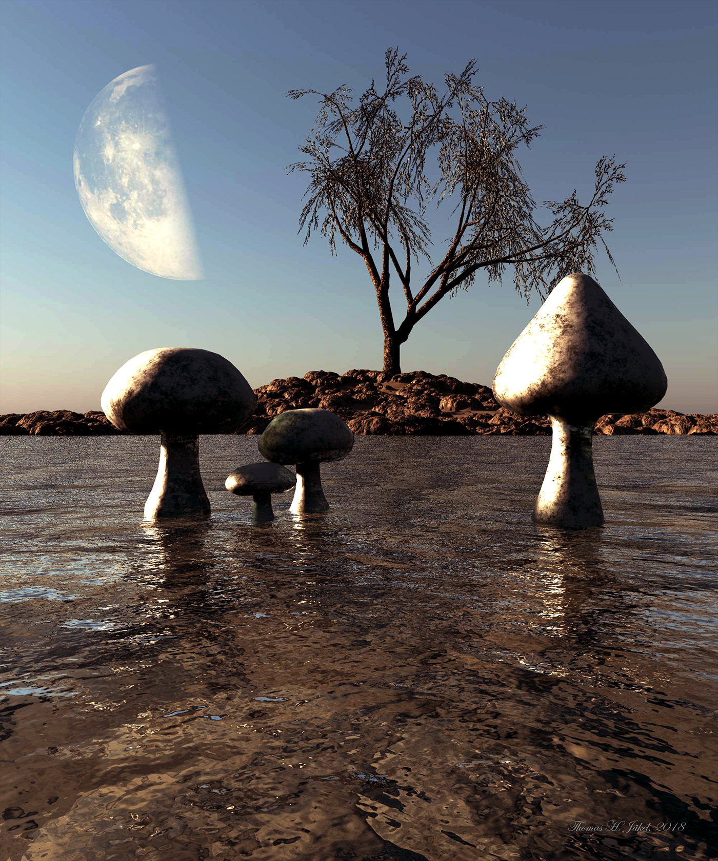 sea mushroom Tree  dreams