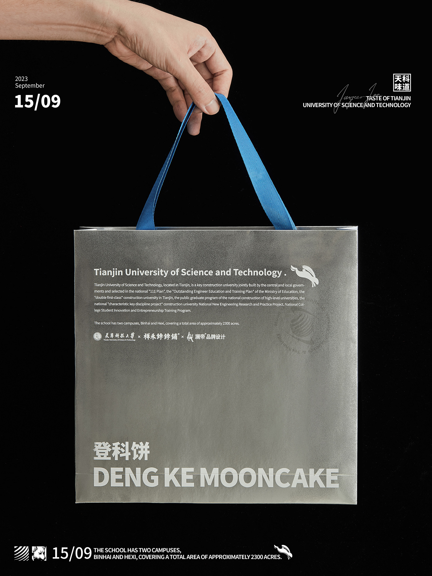 design Packaging mooncake chinese 月饼 包装 包装设计 brand identity