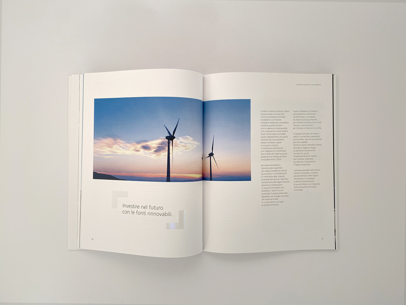 brochure design business Ecology monografia Nature brochure