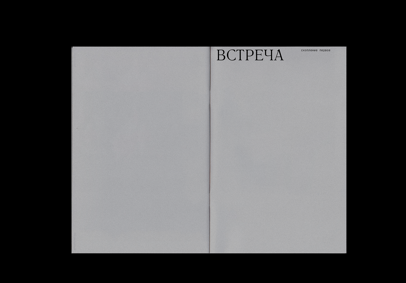 book book cover book design brochure InDesign Layout magazine print typography   Zine 