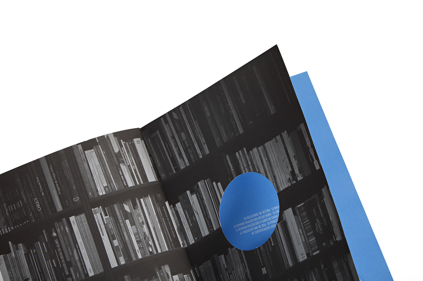annual report editorial design  graphic design  InDesign Layout print design  book editorial