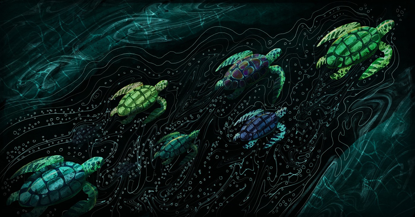 Children's Books Picture book children's book Turtle sea creatures