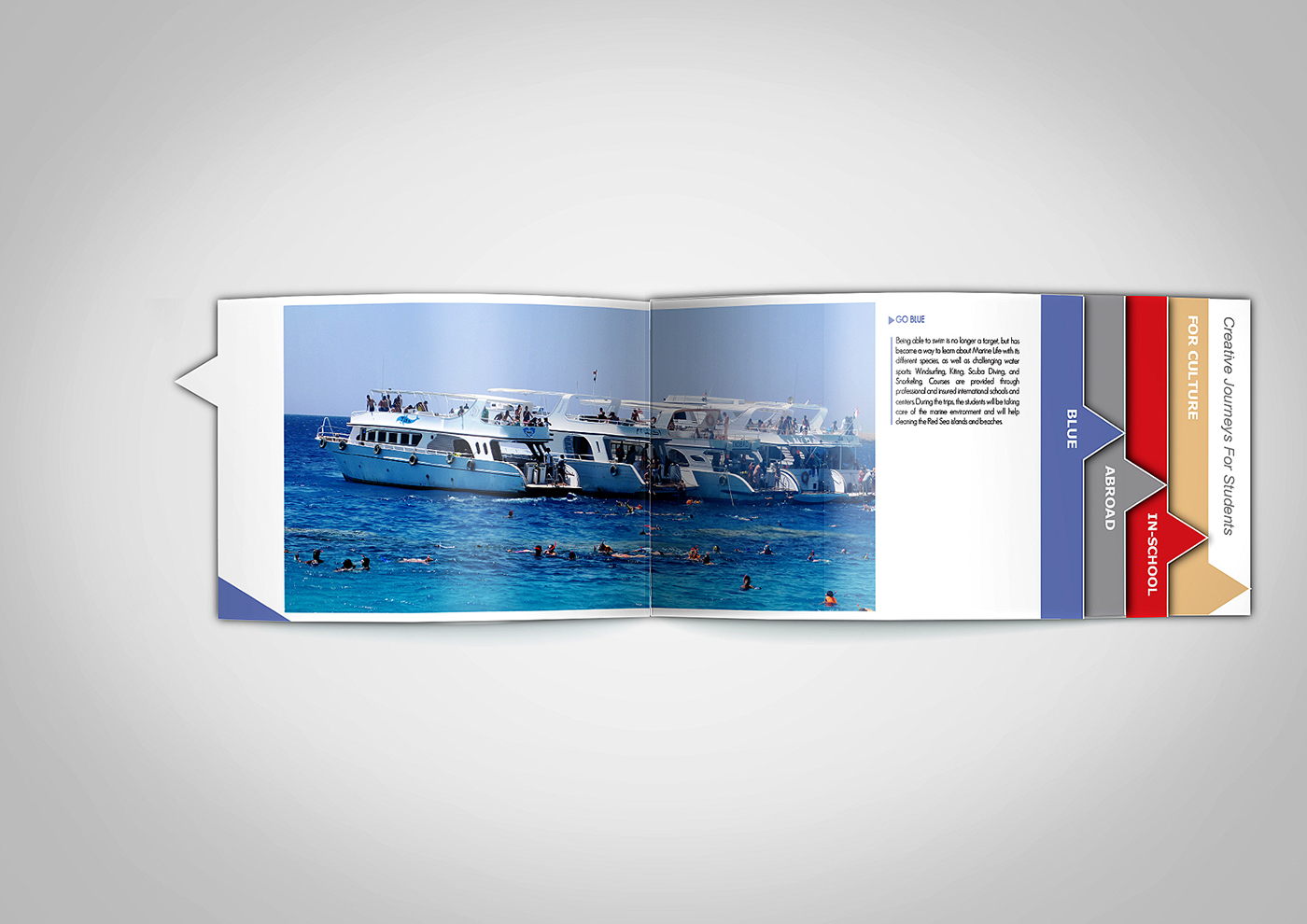 brochure Booklet editorial template Layout