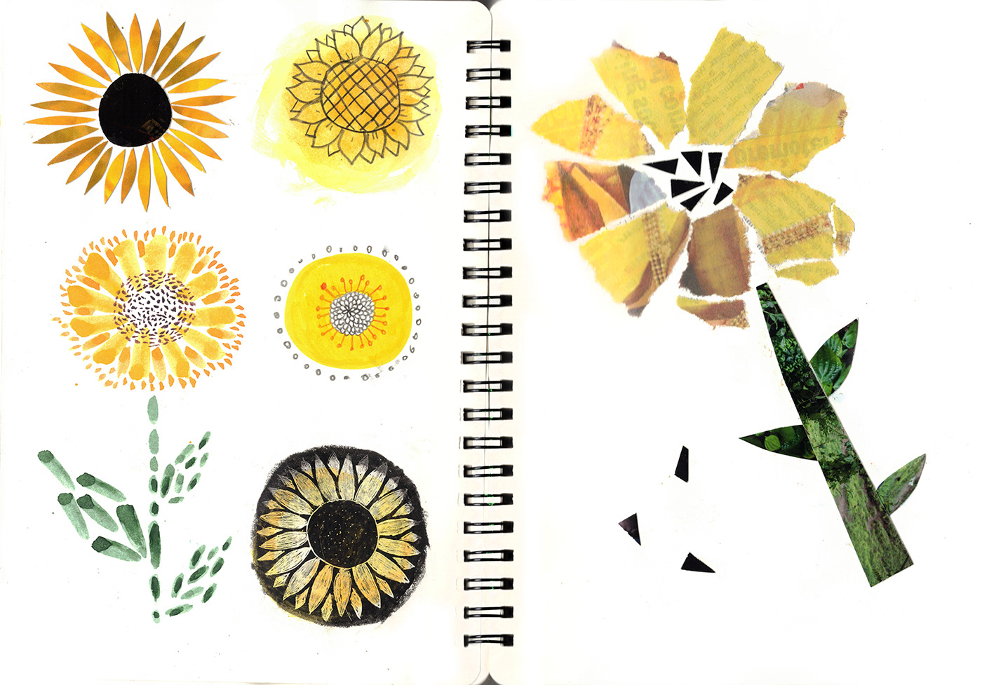 acrylic animals birds collage Creativity kidlit pencil sketchbook tour wildlife