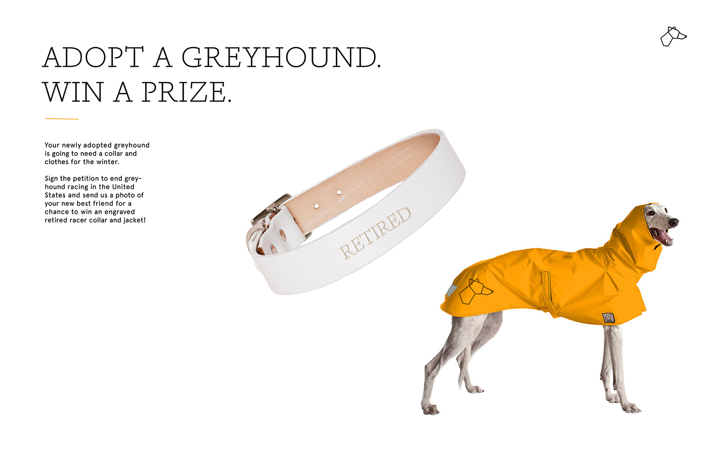 Greyhound Racing branding  Advertising 