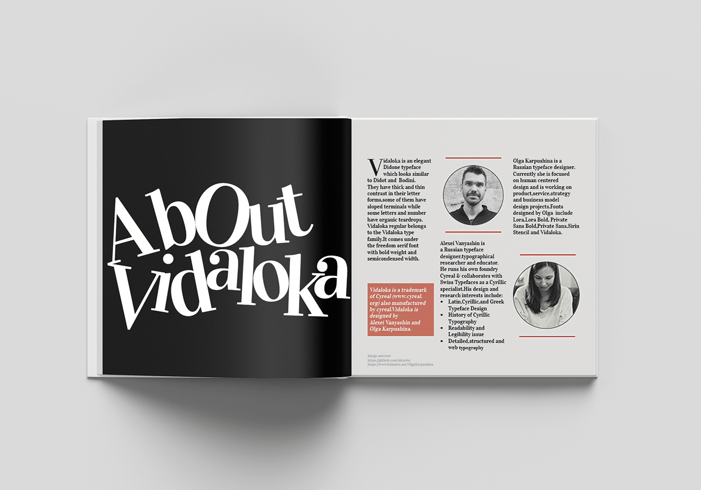 typography   Typespecimen book vidaloka
