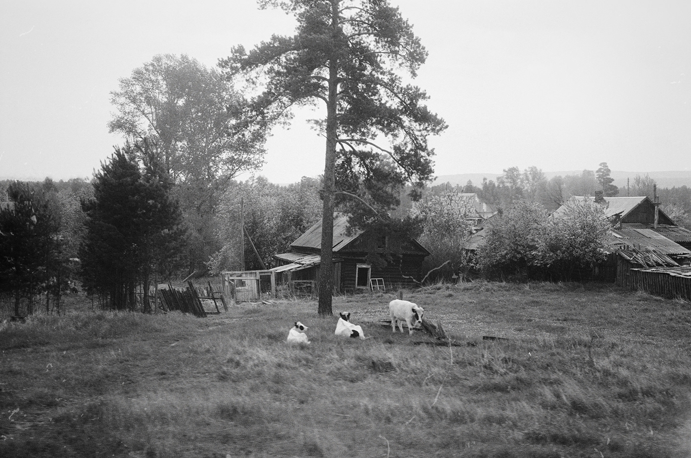 35mm analog b&w black and white film photography ILFORD KODAK FILM Landscape Leica Photography 