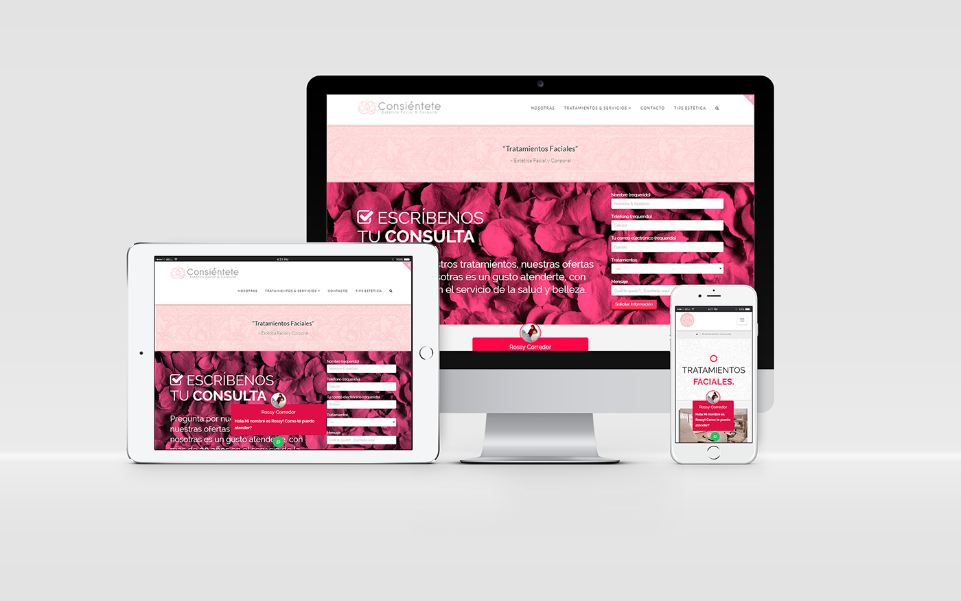 Diseño web estética Spa wordpress