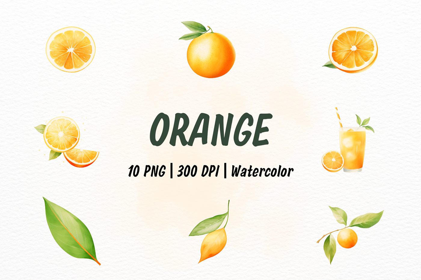 orange Fruit watercolor branch juicy sweet splash juice Orange Juice orange slice