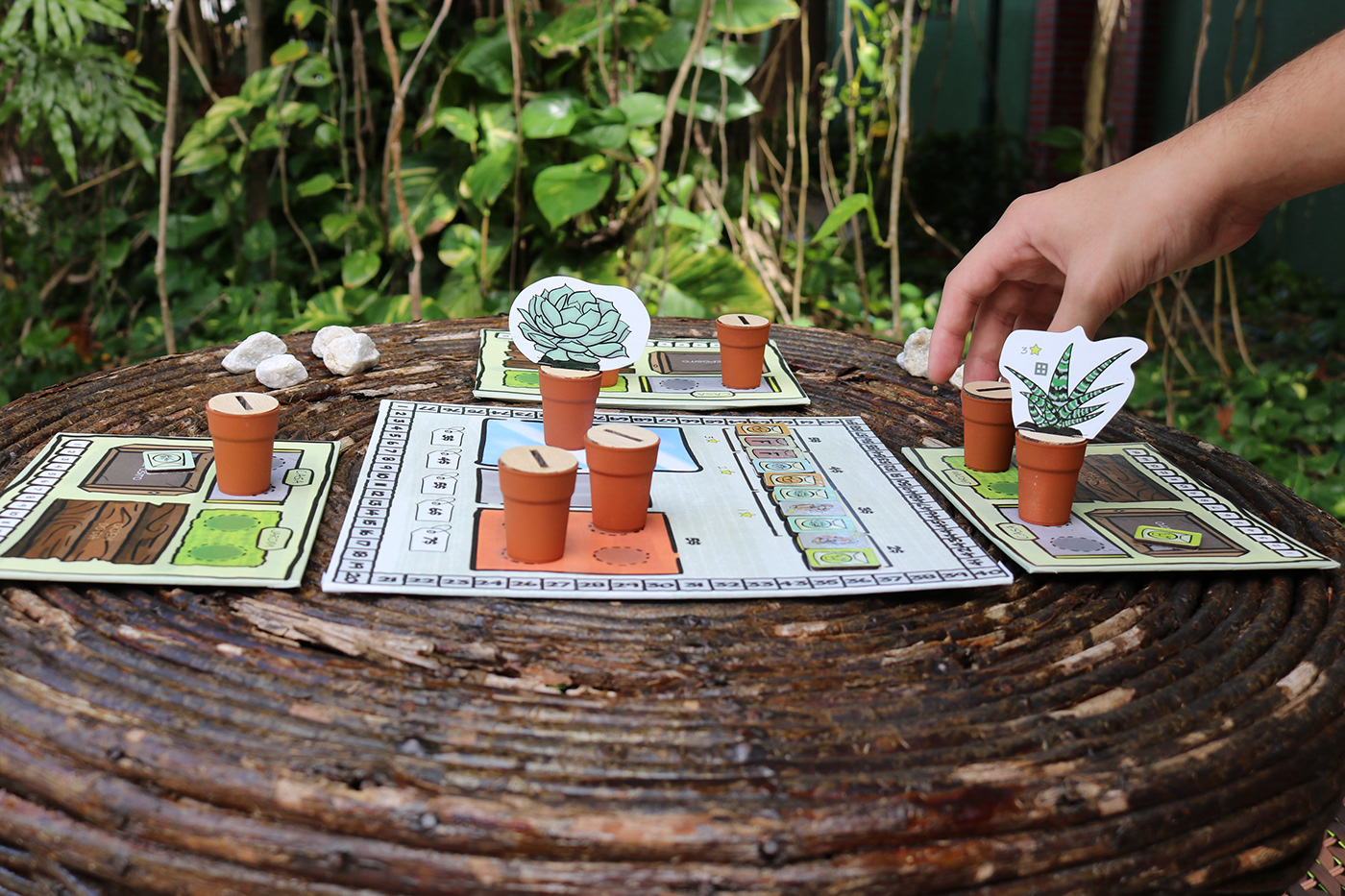 board game card game game game design  gardening jogo Jogo de Tabuleiro Plant Succulent tabletop game