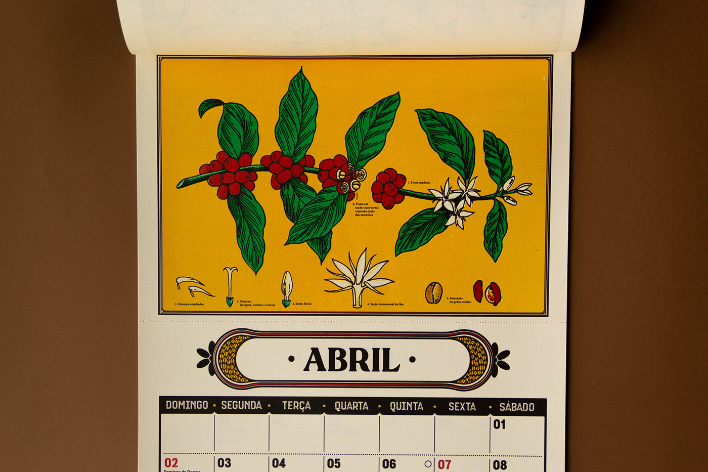 calendar print hand drawn graphic design  calendar design Arado rural cafe