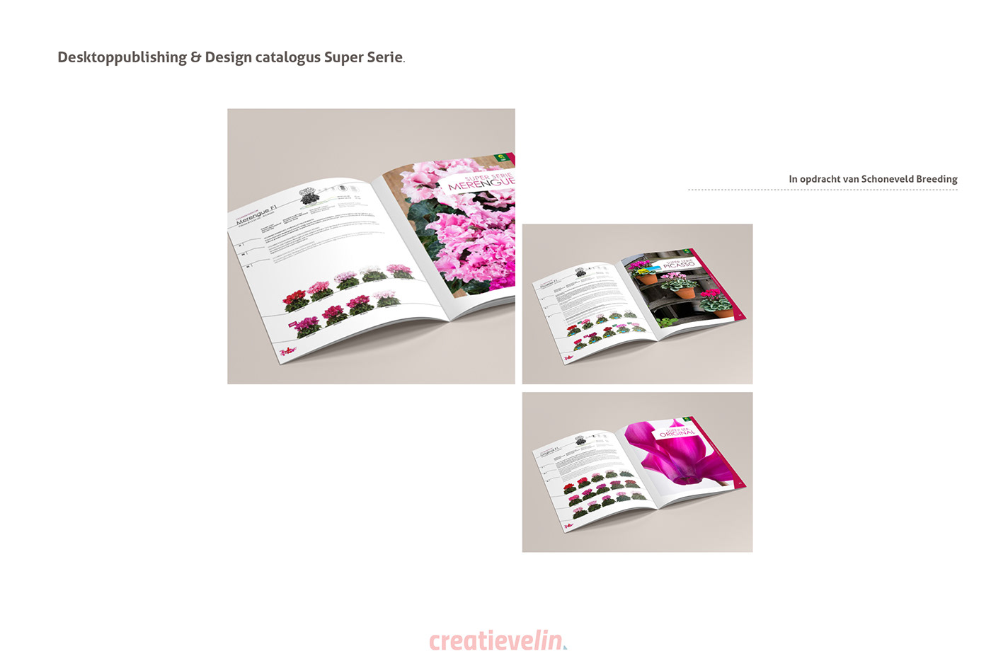 annual report branding  brochure catalogus flyer huisstijl huisstijlmanagement Jaarverslag logo