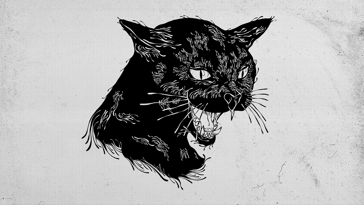 visual identity branding  rock music Black Cat graphic cd poster rock band punk rock