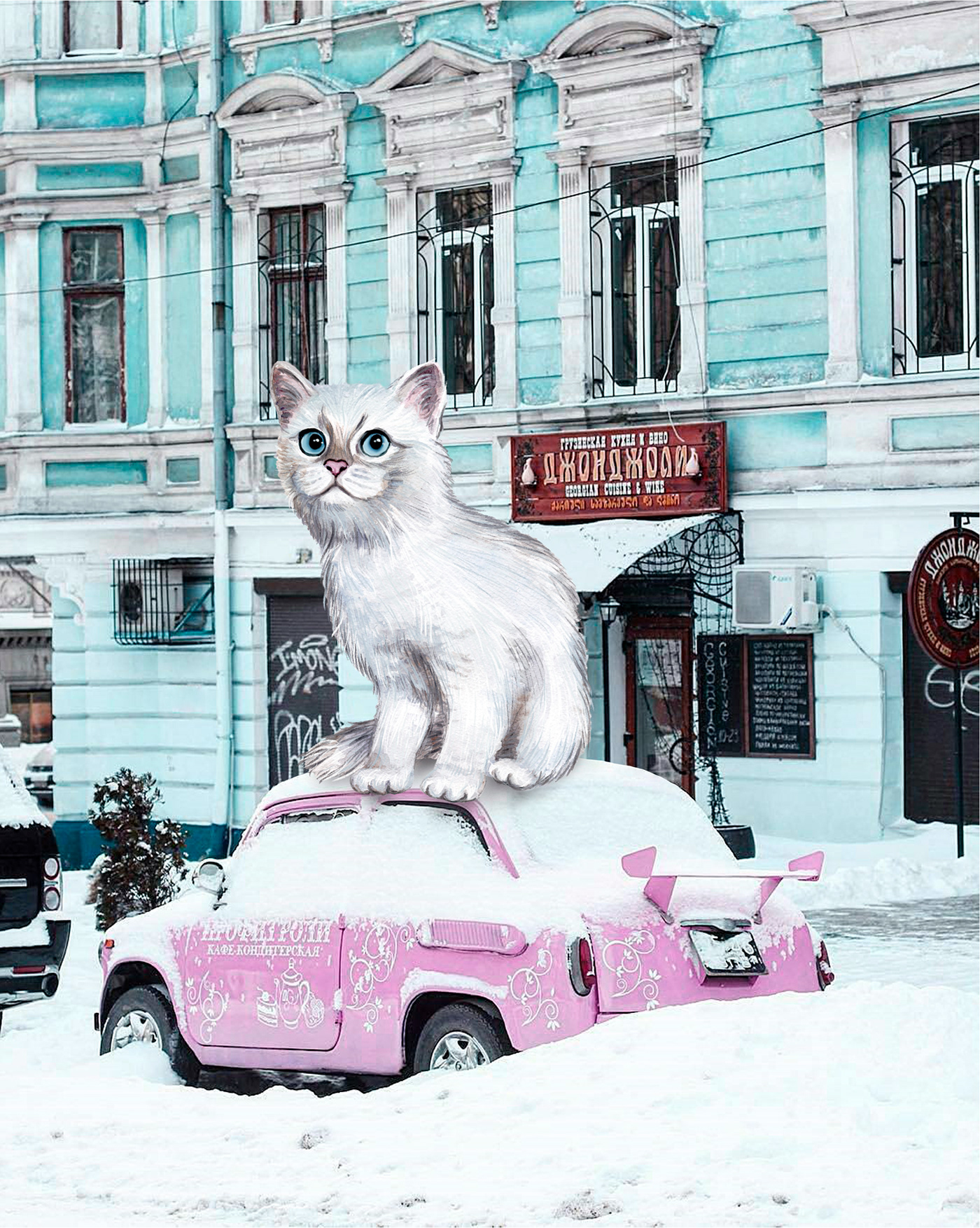Cat ILLUSTRATION  Photography  Drawing  poster wallpaper ukraine Odessa