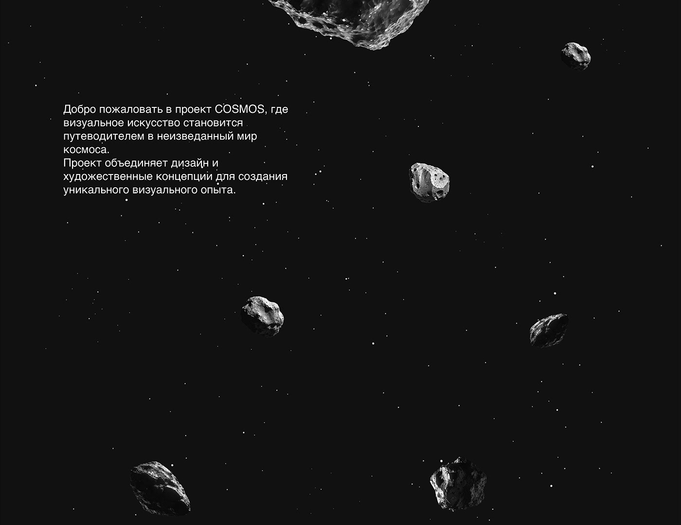 cosmos Space design Asteroids universe artwork Digital Art  visual adobe illustrator ai art