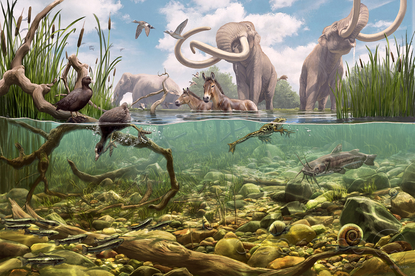 fish horse ice age lake mammoths pond springs underwater watering hole