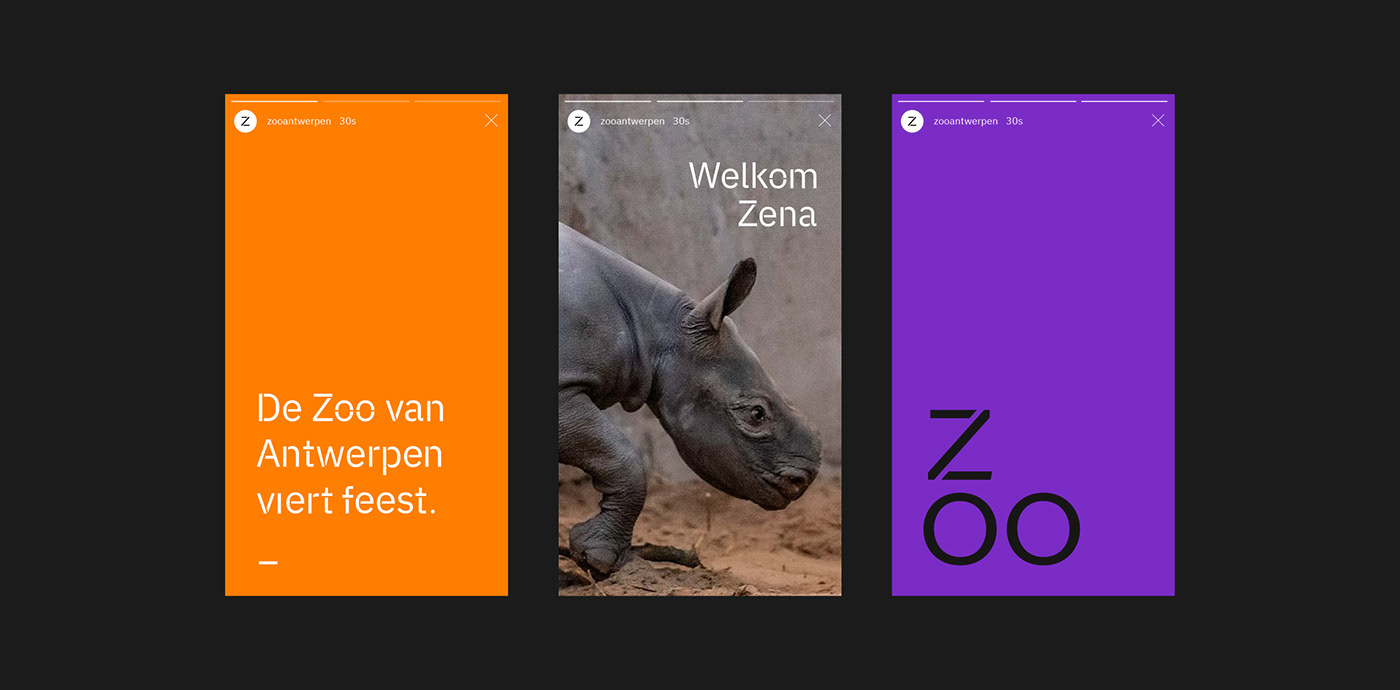 branding  bright custom typeface font rebranding zoo