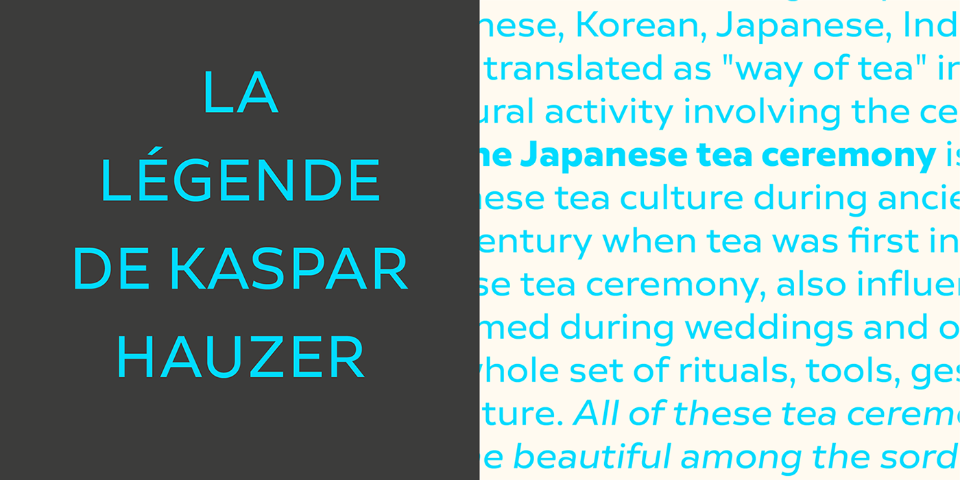type font typography   sans modern clean Workhorse Neutral Typeface
