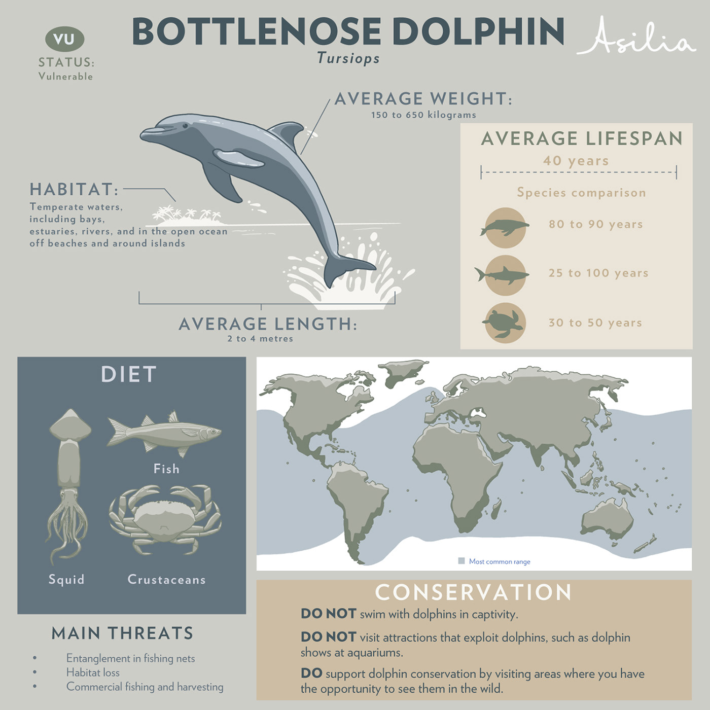 africa animals crocodile dolphin hippo infographic manta ray Turtle