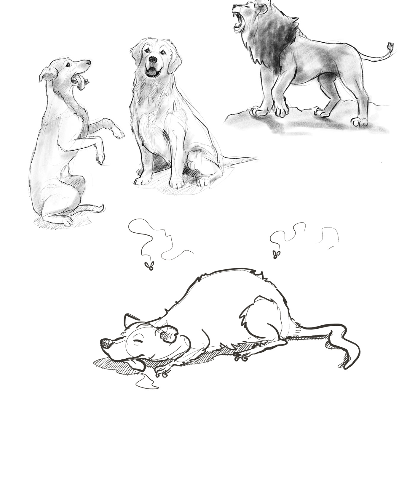 doodles animals sketches sketch Procreate