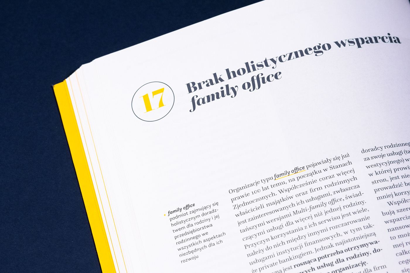 book Layout hot stamping infographics legal design editorial design  graphic design  grid typography   yellow